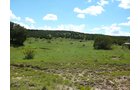 Property photo 30 - 7,320 Acres Offered in 5 Tracts